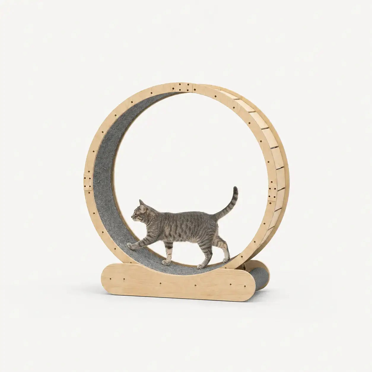Aurelia kattenloopwiel