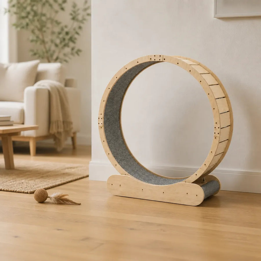 Aurelia Cat Exercise Wheel