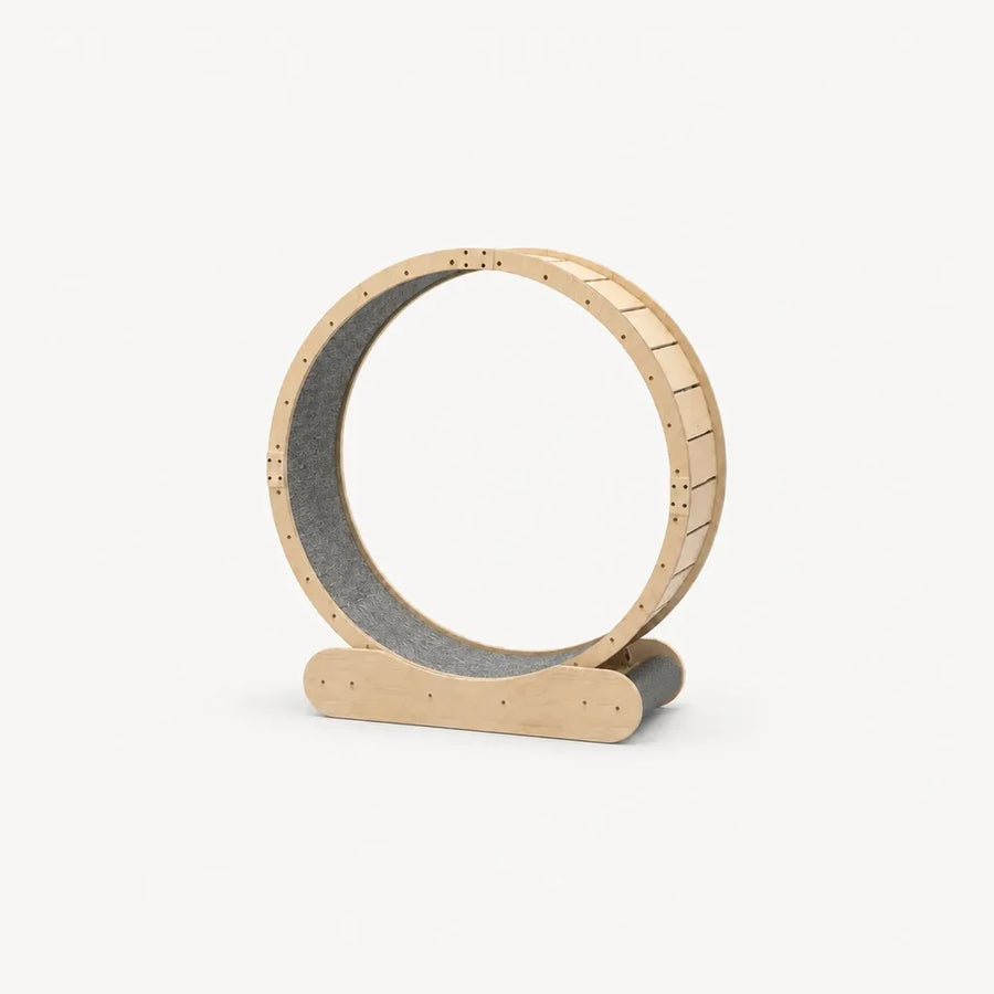 Aurelia Cat Exercise Wheel