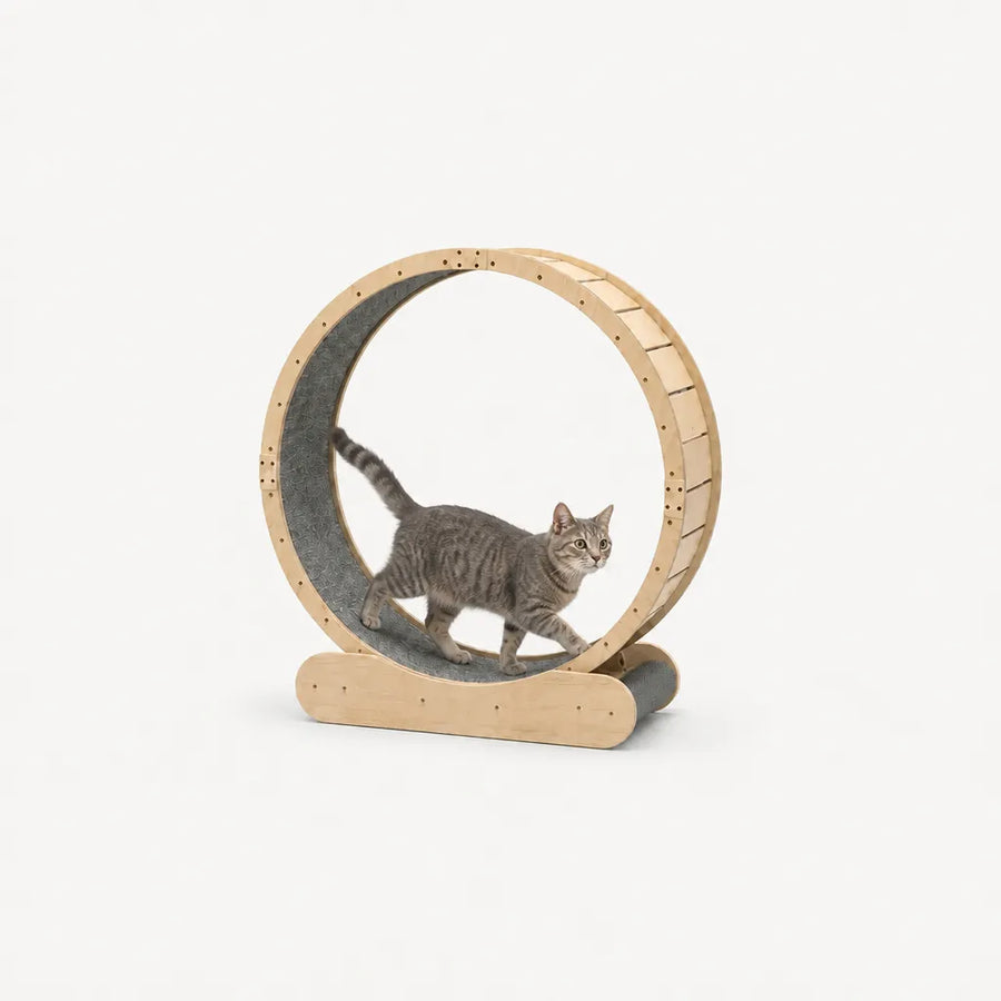 Aurelia Cat Exercise Wheel